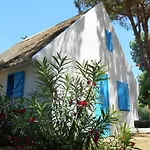 Campsite Avec Terrasse - 7 Pers. - Api-1-52-2181